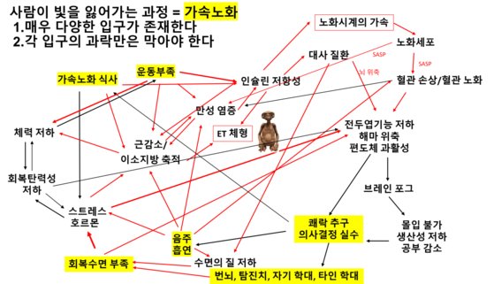 정희원 교수가 직접 그린 '가속 노화' 구조도 . 사진 정희원 교수 SNS