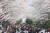 진해군항제가 열리고 있는 31일 경남 창원시 진해구 경화역공원을 찾은 관광객들이 활짝 핀 벚꽃을 감상하고 있다. 뉴스1