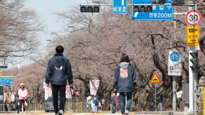 황사 가고 맑은 봄날씨 왔지만…서울은 벚꽃 없는 벚꽃축제