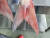 자연산 참돔의 꼬리 지느러미. 사진 국립수산과학원