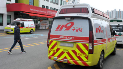 "의사 없다" 이틀 뺑뺑이…100km 떨어진 병원 이송 뒤 사망
