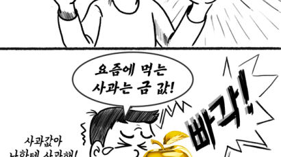 "사과값아, 나한테 사과해"…애플레이션에 배∙귤값도 껑충 [같toon마음]