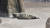 점박이물범 방울이가 볼록 나온 바닥을 베개 삼아 누워 있는 모습. [사진 서울시]