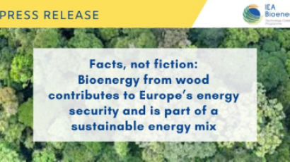 산림바이오매스에너지협회, 산림바이오매스는 국제적으로 인정된 재생에너지