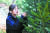 풍산가문비나무를 살펴보는 김수민 학생기자.