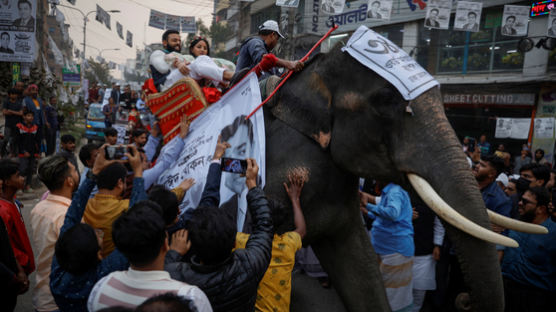 동물원 코끼리, 조련사 아들 내동댕이쳤다…방글라데시서 사망 사고