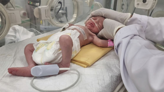 '가자지구 비극과 기적' 공습에 숨진 엄마 배속서 아기 태어나