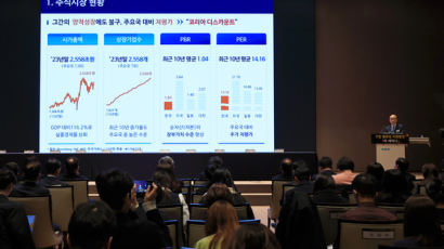 “우수한 지배구조 기준, 획일화할 수 없어” 밸류업 가이드라인 앞둔 산업계