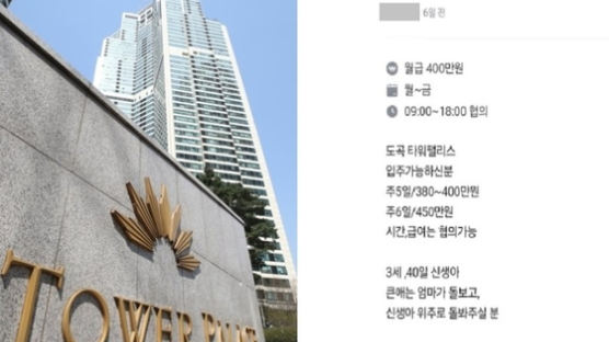 "도곡 타워팰리스 입주 도우미, 월 450만원"…구인 공고에 갑론을박