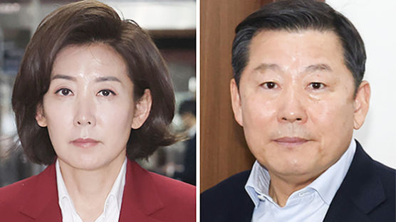 ‘당대표 비윤, 원내대표 친윤’ 부상…나경원·이철규 주목