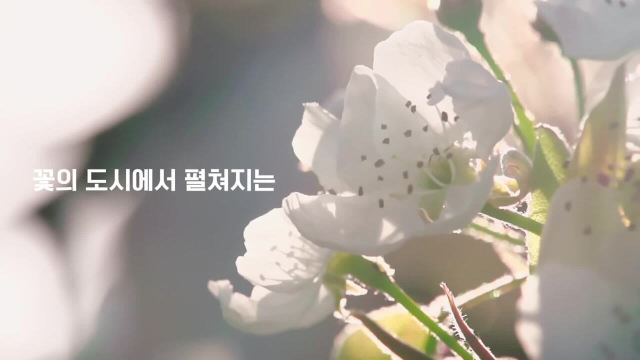 1억송이 꽃들의 향연…일산호수공원서 고양국제꽃박람회 개막