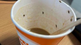 스페인 공항 자판기 커피 마신 뒤 '쇼크'…컵엔 벌레 우글우글