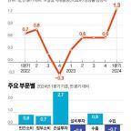 1.3% 깜짝 성장 난감한 野…'전국민 25만원' 추경 제동 걸리나
