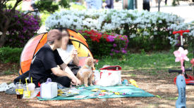 "왜 이렇게 더워" 경북 김천, 7월 날씨가 4월에 찾아왔다