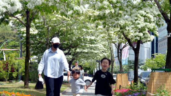 [사진] 이팝나무 꽃 아래 아이들 웃음꽃