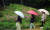 봄비가 내리는 29일 광주시 광산구 수완동 한 아파트 입구에서 우산을 쓴 초등학생들이 등교하고 있다. 뉴스1