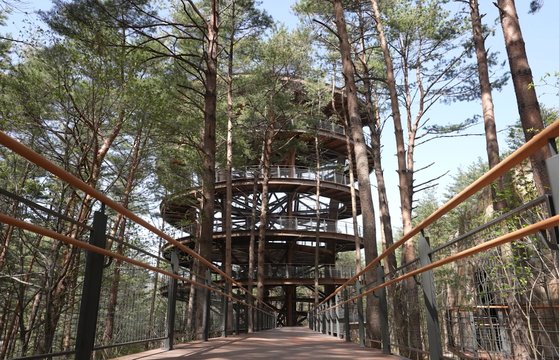 태백산국립공원 하늘전망대 모습. 사진 국립공원공단