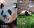 중국판다보호연구센터가 1일 공개한 푸바오 영상. 사진 중국판다보호연구센터 웨이보 캡처