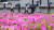 지난달 29일 부산 동구 부산역 광장에 만개한 철쭉 뒤로 시민과 관광객들이 우산을 쓴 채 분주히 이동하고 있다. 송봉근 기자