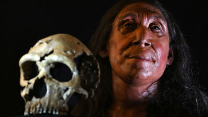 뼛조각 200개 맞추니 완성된 얼굴…7만5000년 전 여성이었다