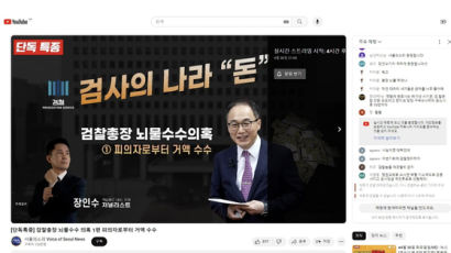 '반윤' 언론사 4곳에만 뿌렸다…'檢총장 부인계좌' 조작 미스터리