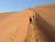 나미비아 사막 자료사진. pixabay