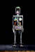 로봇이지만 녹음된 음성을 재생해 말하고 콩으로 배변도 했던 '로봇 K-456'는 삶과 죽음을 경험하는 인간화된 기계다. ⓒ백남준아트센터  