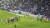 지난 11일 인천축구전용경기장에서 열린 하나은행 K리그1 2024 12라운드 원정 경기장에 물병들이 던져져있다. 연합뉴스