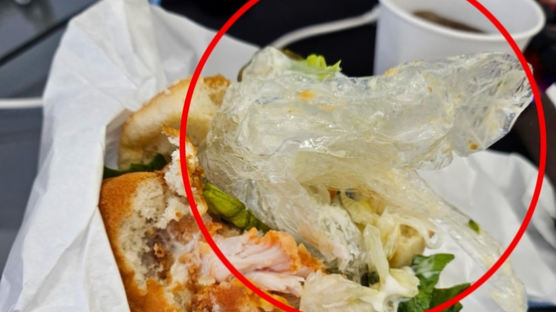 햄버거에 나온 비닐장갑…업체는 증거물 회수뒤 "그럴리 없다" 발뺌