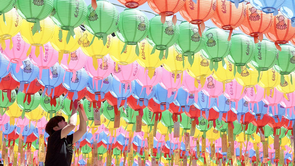 부처님 오신 날인 15일 오전 대구 동화사에서 한 불자가 연등을 달고 있다. 연합뉴스