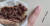 A씨가 구워먹은 투플러스 등급 국내산 한우(왼쪽)와 그 고기에서 나왔다는 주삿바늘. 사진 보배드림 캡처