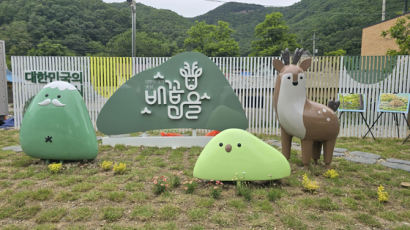 남한 국토 정중앙 ‘배꼽마을’...옥천 장명골에 노루상이 들어선 이유는