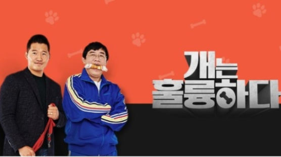 강형욱 해명에도 전직원들 고소 준비…KBS '개훌륭' 2주 연속 결방