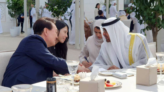 [단독] UAE 대통령, 김택진·방시혁 만난다…게임·엔터 협력 논의 | 팩플