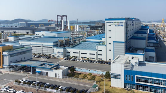 포스코, 전기차 120만대용 니켈 생산한다…중국 회사와 합작