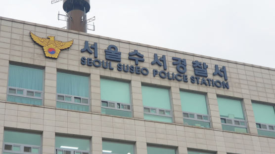 ‘강남 오피스텔 모녀 살인’ 60대 13시간만에 긴급체포