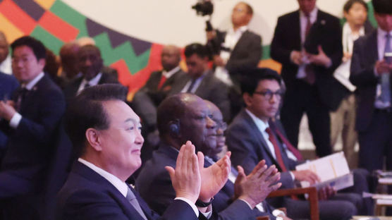 아프리카 14억명 시장 잡는다…대통령 “경제동반자협정 추진”