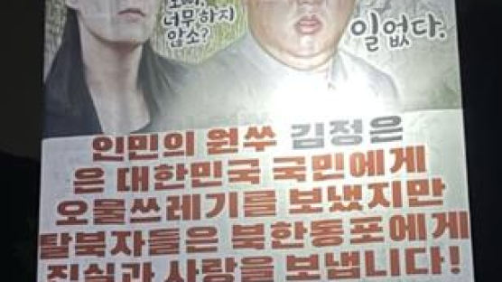 탈북민단체 "새벽에 애드벌룬 10개로 대북전단 20만장 살포"