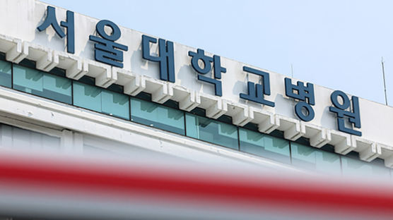 서울대병원 "전공의 범법자 취급…해결 안 되면 17일부터 휴진"