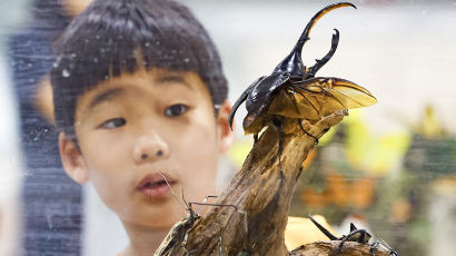 [포토타임] 곤충 경진대회 찾은 어린이... 내일 날씨는?