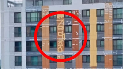 "황당하네"…아파트 외벽에 뜬금없는 '김대중' 세 글자, 무슨 일 