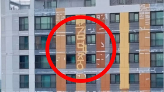 오산 아파트 외벽에 크게 써진 '김대중' 세 글자…"정치적 메시지 논란"