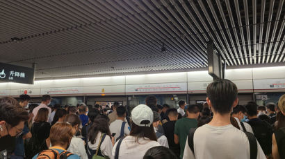 홍콩 출근시간 지하철에서 40㎝ 뱀 출몰…승객 전원 대피 소동