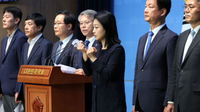 민주, 대북송금 수사 검사 탄핵 검토…대장동·백현동 검사 2명도 추진