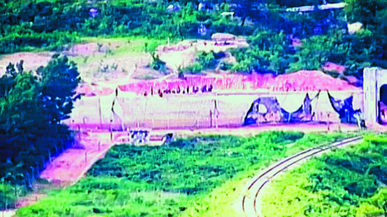 북한군, DMZ 곳곳 지뢰 매설작업…폭발사고로 다수 사망