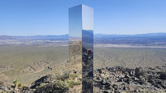 NYT도 "미스테리"…사막에 돌연 나타난 거대 '거울기둥' 정체