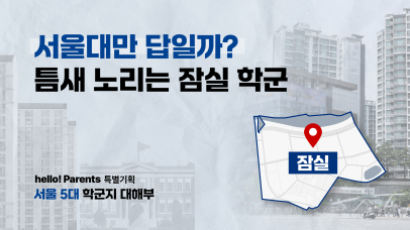 “대치동 갈 바엔 저축한다” 서울대 고집 않는 잠실엄마 [서울 5대 학군지 대해부 ④]