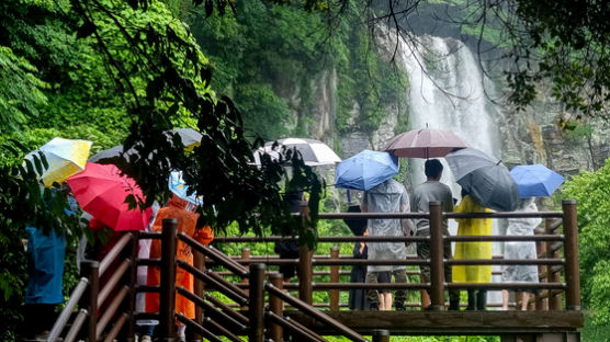 [사진] 서귀포 223㎜ 폭우, 주말 전국 비
