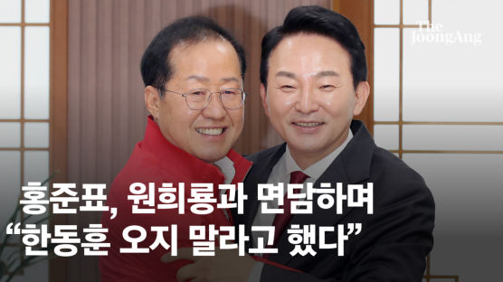 홍준표 "채상병 특검만 받는 줄 아나"…한동훈 면담 거절하며 맹폭