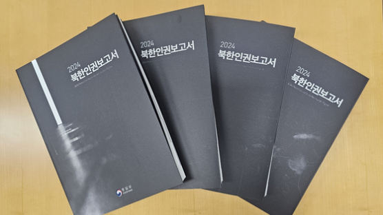 성폭행·고문보다 더한 '최악 형벌' 뭐길래…한국행 시도 탈북민 통곡